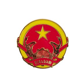 Vietnam Pin Badge